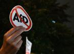 Alternative für Deustchland (AfD) - co to takiego?