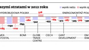 Spółki z największymi stratami w 2012 roku
