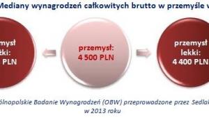 Mediany wynagrodzeń całkowitych brutto w przemyśle w 2013 roku