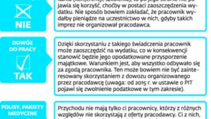 Opodatkowane nieodpłatne świadczenia w świetle wyroku TK