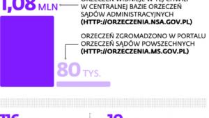 Coraz więcej orzeczeń w internecie