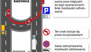 Co widzi kierowca