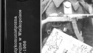 Konspiracja antykomunistyczna i podziemie zbrojne w Wielkopolsce w latach 1945-1956