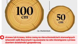 Zgoda na wycinkę drzew nie jest potrzebne, gdy chodzi m.in. o: