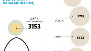 LICZBA ZACHOROWAŃ NA SALMONELLOZĘ