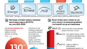 W Polsce źródła odnawialne wciąż nie mają znaczenia strategicznego