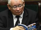 "Atlas kotów" Kaczyńskiego wystawiony na Allegro