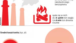 Skala problemu