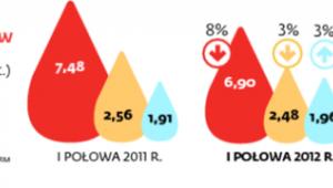 Zużycie paliw w Polsce